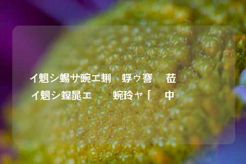 闲鱼去水印助手 让你的闲鱼宝贝更受欢迎