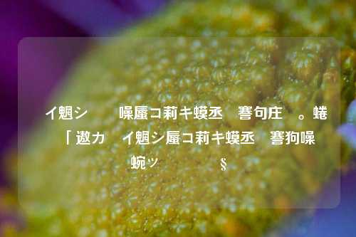 闲鱼上的出价小助手可信吗 探究闲鱼出价小助手的可靠性