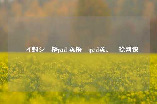 闲鱼上ipad 二手ipad交易攻略