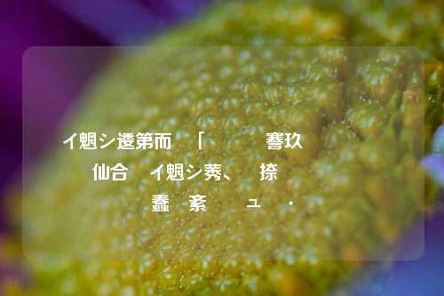 闲鱼监控抢拍助手脚本 提升闲鱼交易效率的必备工具