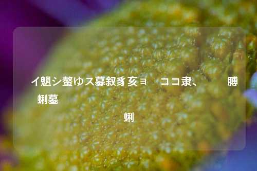 闲鱼如何取消实人认证 简单易懂的操作指南