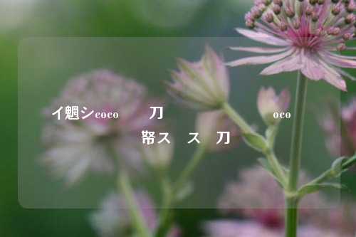 闲鱼coco作品集 分享coco的创作作品