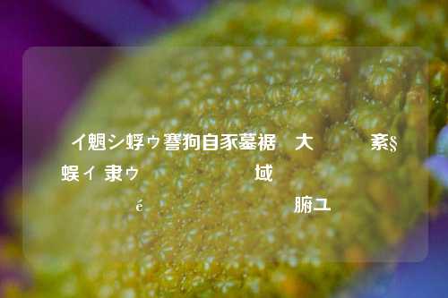 闲鱼助手玩法搞笑图片大全 让你笑到肚子疼的闲鱼助手玩法