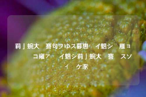 代发助手如何在闲鱼上实现铺货 闲鱼代发助手使用方法