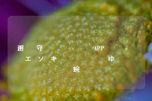 简鱼闲鱼助手APP 打造更便捷的二手交易平台