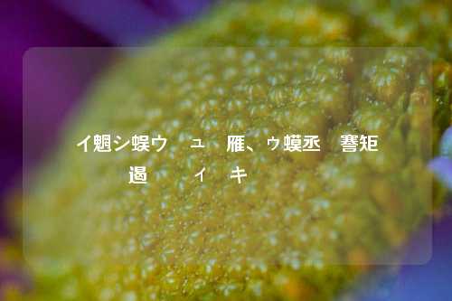 闲鱼关闭聊天小助手通知 用户需知