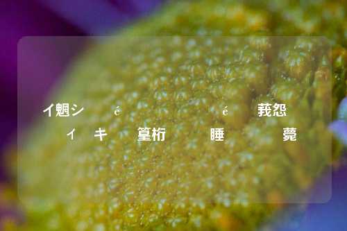 闲鱼流量助手靠谱吗 用户评价及使用体验