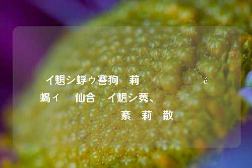 闲鱼助手用什么加速器 提升闲鱼交易速度的必备软件