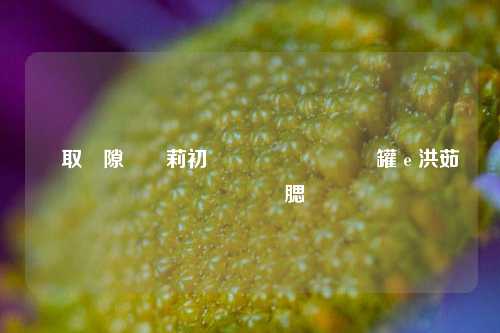 怎样下载闲鱼助手推广视频 详细教程分享