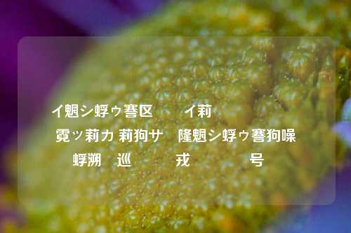 闲鱼助手是干什么用的软件 介绍闲鱼助手的功能与使用方法