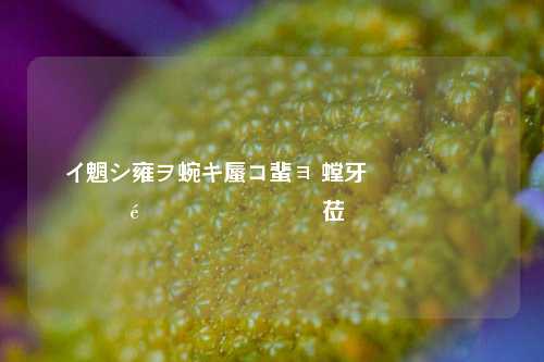 闲鱼账号出售 安全高效的闲鱼账号转让服务