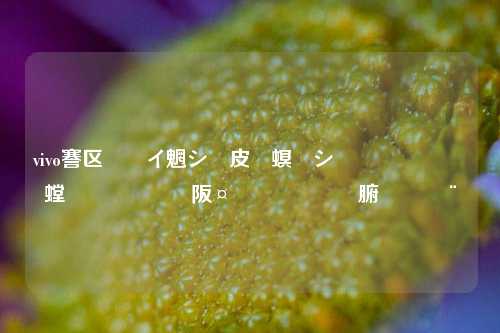 vivo手机闲鱼应用多开助手 实现一机多开的神器