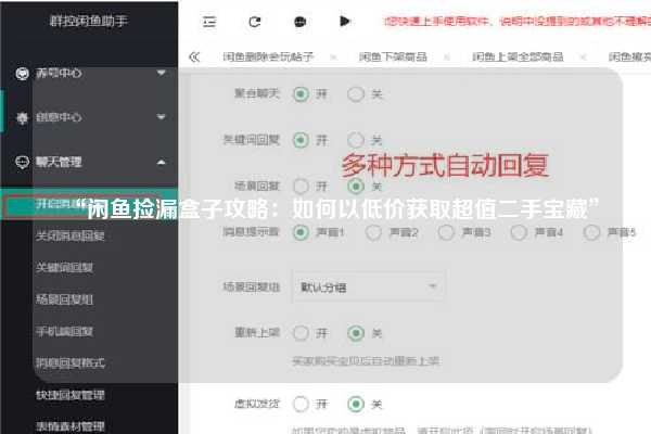 “闲鱼捡漏盒子攻略：如何以低价获取超值二手宝藏”